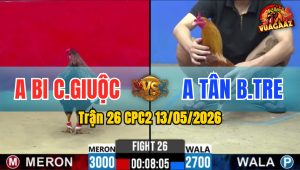 Trận 26 CPC2 13/05/2026 - Idol Kiểm Cà Mau Nài Gà Cũng Không Cứu Nổi