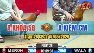 Trận 26 CPC2 15/05/2026 - Gà Khét Anh Kiểm Cà Mau Có Chân Dứt Điểm