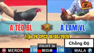 Trận 26 CPC3 10/05/2026 - Gà Cọp Anh Tèo Bảo Lộc Lụm Gà Chồng Độ
