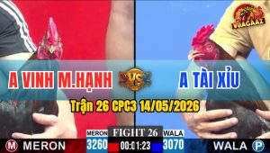 Trận 26 CPC3 14/05/2026 - Gà Xanh Đá Không Cho Gà Đỏ Đường Phản