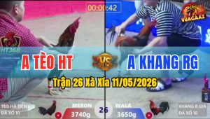 Trận 26 Xà Xía 11/05/2026 - Xanh Té Tại Mức Sau Vài Chân Giao