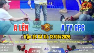 Trận 26 Xà Xía 13/05/2026 - Gà Anh Lên Đá Cựa Đâm Như Sát Thủ