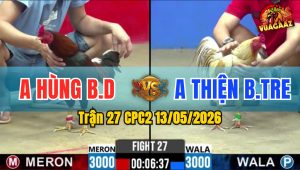 Trận 27 CPC2 13/05/2026 - Gà Xám Chuối Anh Thiện Đá Đâm Như Cái Máy