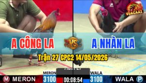 Trận 27 CPC2 14/05/2026 - Anh Công Long An Làm Thịt Luôn Anh Nhàn Long An