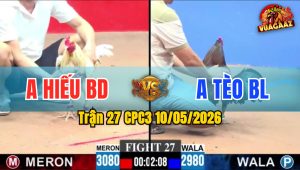 Trận 27 CPC3 10/05/2026 - Gà Anh Hiếu Triệt Gãy Cánh Gà Anh Tèo BL