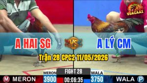 Trận 28 CPC2 11/05/2026 - Bông Đá Chân Như Cây Đập Kéo Lúa Về Nhà