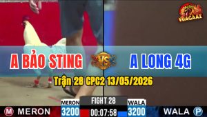 Trận 28 CPC2 13/05/2026 - Anh Bảo Sting Lại Đụng Anh Long 4G