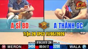 Trận 28 CPC3 11/05/2026 - Sĩ Bình Dương Quá Tự Tin Và Cái Kết