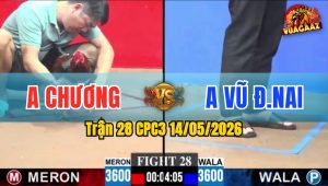 Trận 28 CPC3 14/05/2026 - Anh Vũ Đồng Nai Phản Đòn Thắng Ngược