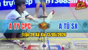Trận 28 Xà Xía 13/05/2026 - Gà Anh Tú SX Có Chân Cựa Chí Mạng