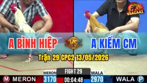 Trận 29 CPC2 13/05/2026 - Anh Bình Hiệp Hạ Gọn Anh Kiểm CM