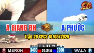 Trận 29 CPC3 10/05/2026 - Gà Anh Giang Đức Hoà Siết 1 Cơ Lụm Tiền