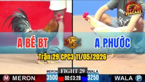 Trận 29 CPC3 11/05/2026 - Điều Anh Bé Té Trong Đầy Tiếc Nuối