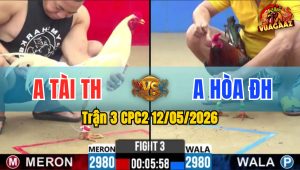 Trận 3 CPC2 12/05/2026 - Anh Hoà ĐH Thắng Trong Thế Thua