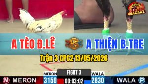 Trận 3 CPC2 13/05/2026 - Anh Tèo Đan Lê Thắng Quá Dễ Dàng
