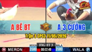 Trận 3 CPC3 11/05/2026 - Đỏ Anh Bé Đá Cho Xanh Dở Giò Không Kịp