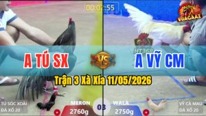 Trận 3 Xà Xía 11/05/2026 - Xanh Đâm Đỏ Gãy Giò Lụm Lúa
