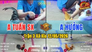 Trận 3 Xà Xía 12/05/2026 - Anh Hưởng Chấp Anh Tuấn Tới 4 Chấm