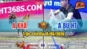Trận 3 Xà Xía 15/05/2026 - Gà Bướm Anh Bu Hà Tiên Đâm Thấy Nóng Lạnh
