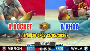 Trận 30 CPC2 12/05/2026 - Anh Khoa Bị Dí Bạc Và Cái Kết