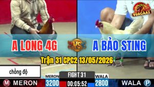Trận 31 CPC2 13/05/2026 - Anh Long 4G Chồng Độ Lụm Tiếp Idol Bảo Sting
