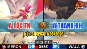 Trận 31 CPC3 11/05/2026 - Đỏ Đá Bo Lớn Tới Phút 90 Hạ Xanh Về Sau