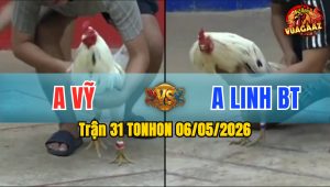 Trận 31 TONHON 06/05/2026 - Anh Linh BT Thắng Trong 3 Chân Đá