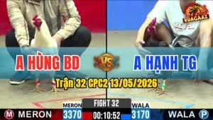 Trận 32 CPC2 13/05/2026 - Gà Điều Anh Hạnh Canh Nạp 1 Chân Lụm Tiền