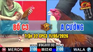 Trận 32 CPC3 11/05/2026 - Trận Hòa Duy Nhất Ngày Hôm Nay