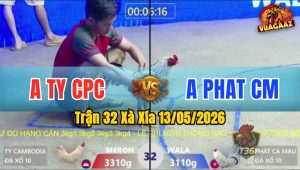 Trận 32 Xà Xía 13/05/2026 - Gà Anh Ty Campuchia Đá Đâm Như Giang Hồ