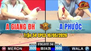 Trận 34 CPC3 10/05/2026 - Gà Anh Giang Đức Hoà Siêu Lì Đòn