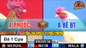 Trận 34 CPC3 11/05/2026 - Anh Bé Chấp Quá Ngông Cuồng Và Cái Kết Đắt Giá