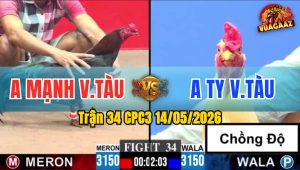 Trận 34 CPC3 14/05/2026 - Gà Anh Mạnh Vũng Tàu Đá Đâm Thấy Ớn Lạnh