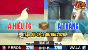 Trận 35 CPC2 10/05/2026 - Gà Anh Thắng Đá Toàn Canh Đâm Mu Lưng