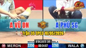 Trận 35 CPC3 10/05/2026 - Gà Anh Phú Sài Gòn Đó Đòn Quá Lực