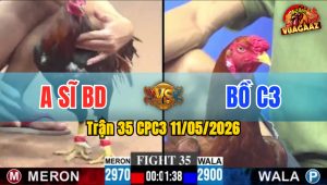Trận 35 CPC3 11/05/2026 - Xanh Gãy Giò Té Biệt Sau Vài Chân