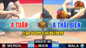 Trận 35 CPC3 14/05/2026 - Gà Anh Thái Biện Đá Đòn Cựa Quá Thốn