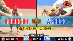 Trận 36 CPC3 10/05/2026 - Anh Giang Đức Hoà Làm Thịt Anh Phú SG