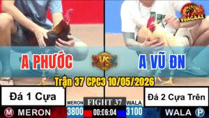 Trận 37 CPC3 10/05/2026 - Anh Phước Chấp 1 Cựa Mà Đá Như 2 Cựa