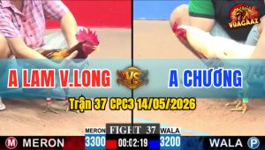 Trận 37 CPC3 14/05/2026 - Gà Anh Chương Đá Toàn Đâm Lúc Cán