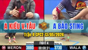 Trận 4 CPC2 13/05/2026 - Idol Bảo Sting Đá Đỏ Không Kịp Trở Mình