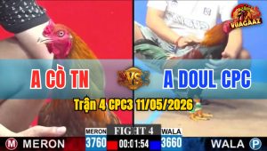 Trận 4 CPC3 11/05/2026 - Doul Campuchia Ức Chế Ở Trận Gà Này