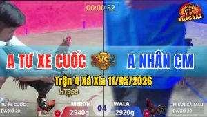 Trận 4 Xà Xía 11/05/2026 - Đỏ Đá Như Phát Xít Đức Đâm Xanh Té Xỉu