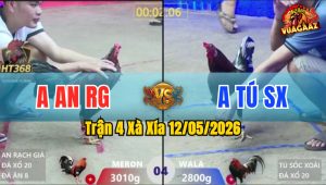 Trận 4 Xà Xía 12/05/2026 - Anh An Rạch Giá Lùa 1 Hơi Lấy Tiền