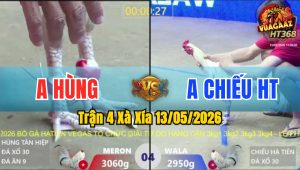 Trận 4 Xà Xía 13/05/2026 - Gà Anh Hùng Đá Cái Bo Quá Lực