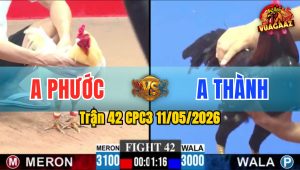 Trận 42 CPC3 11/05/2026 - Gà Xanh Canh Chặn Đâm Đỏ Té