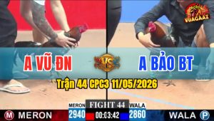 Trận 44 CPC3 11/05/2026 - Vũ Đồng Nai Lụm Lúa Bảo Bến Tre