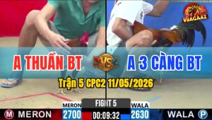 Trận 5 CPC2 11/05/2026 - Xanh Nhấp Mấy Chân Lum Tiền Ngọt Ngào