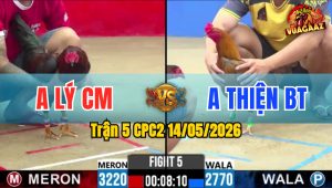 Trận 5 CPC2 14/05/2026 - Gà Khét Anh Thiện Bến Tre Quá Lì Đòn