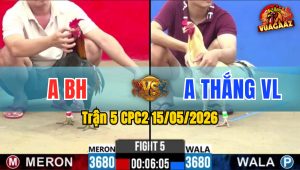 Trận 5 CPC2 15/05/2026 - Gà Điều Đá Siết 1 Cơ Không Cần Tha Lơ
